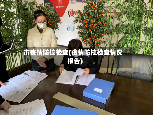 市疫情防控检查(疫情防控检查情况报告)-第2张图片