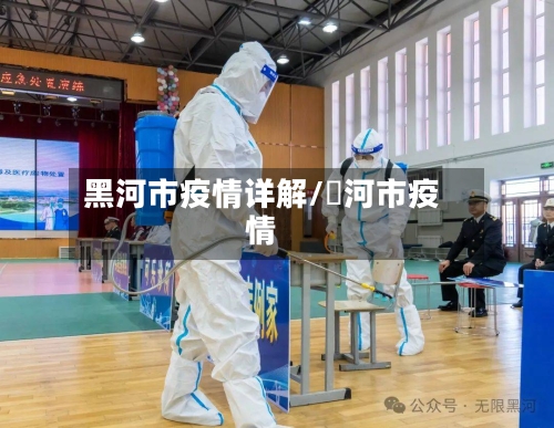 黑河市疫情详解/黒河市疫情-第1张图片
