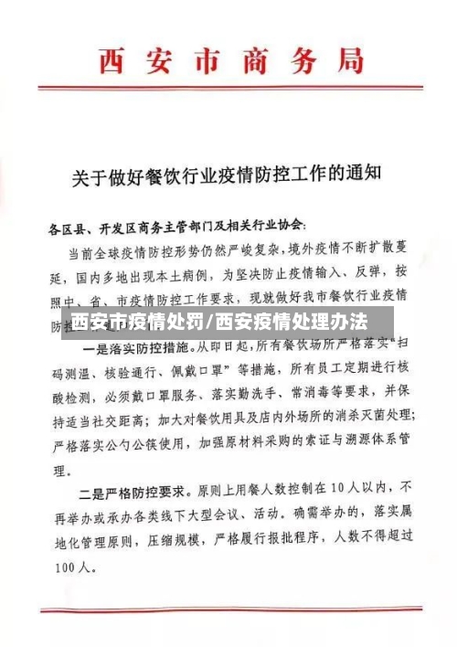 西安市疫情处罚/西安疫情处理办法-第1张图片