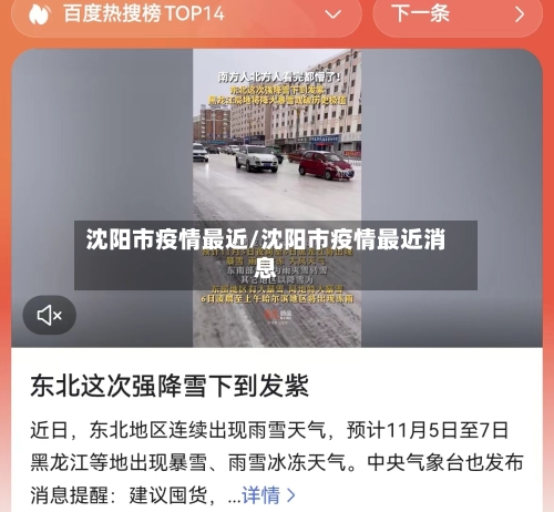 沈阳市疫情最近/沈阳市疫情最近消息-第3张图片