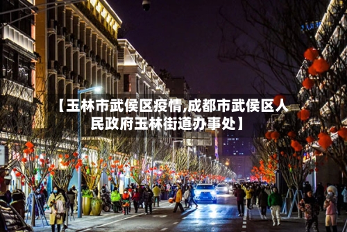 【玉林市武侯区疫情,成都市武侯区人民政府玉林街道办事处】-第2张图片