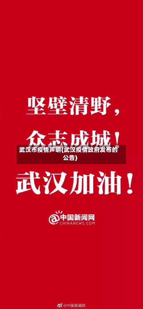 武汉市疫情声明(武汉疫情政府发布的公告)-第1张图片