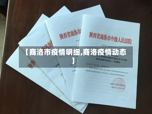 【商洛市疫情明细,商洛疫情动态】-第2张图片