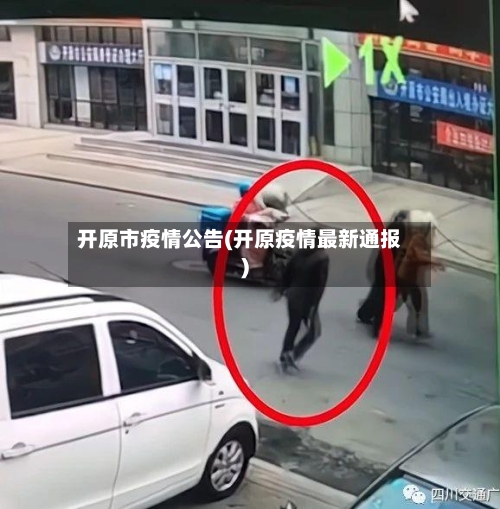 开原市疫情公告(开原疫情最新通报)-第2张图片