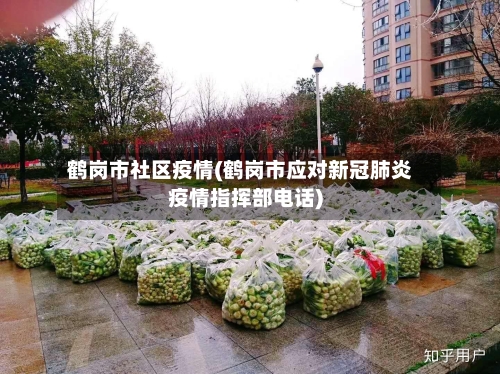 鹤岗市社区疫情(鹤岗市应对新冠肺炎疫情指挥部电话)-第1张图片