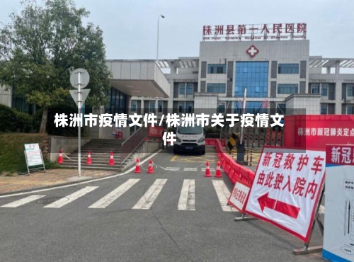 株洲市疫情文件/株洲市关于疫情文件-第1张图片