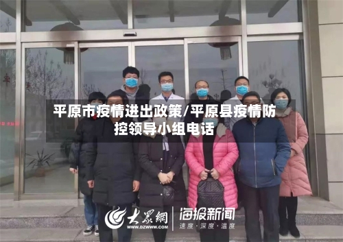 平原市疫情进出政策/平原县疫情防控领导小组电话-第1张图片