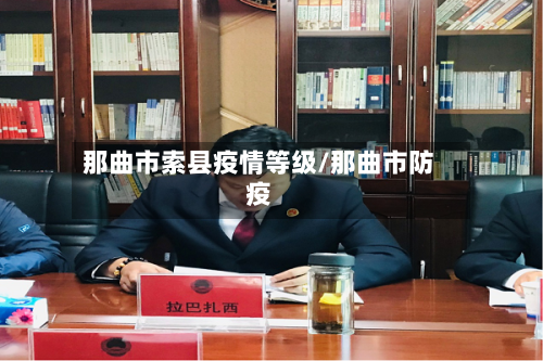 那曲市索县疫情等级/那曲市防疫-第1张图片