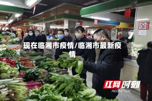 现在临湘市疫情/临湘市最新疫情-第1张图片