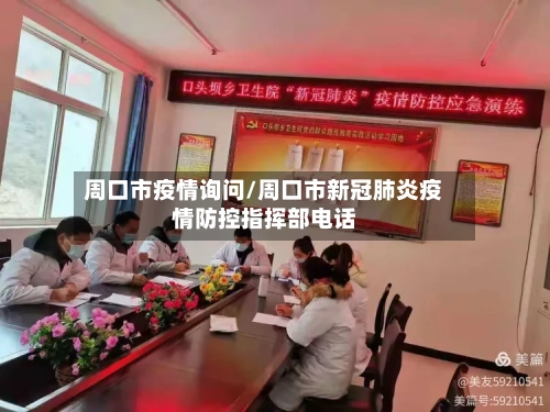 周口市疫情询问/周口市新冠肺炎疫情防控指挥部电话-第3张图片