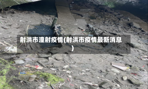 射洪市潼射疫情(射洪市疫情最新消息)-第1张图片