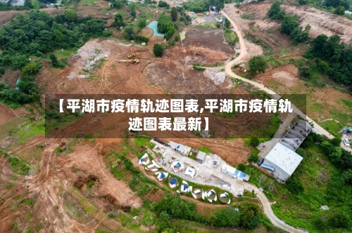 【平湖市疫情轨迹图表,平湖市疫情轨迹图表最新】-第1张图片