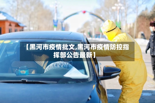 【黑河市疫情批文,黑河市疫情防控指挥部公告最新】-第2张图片