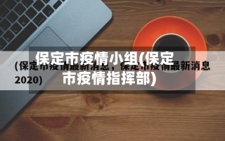 保定市疫情小组(保定市疫情指挥部)-第1张图片