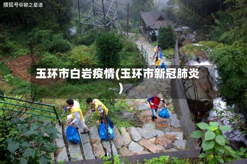 玉环市白岩疫情(玉环市新冠肺炎)-第1张图片